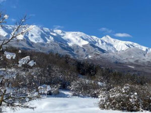Agricamp Primosole | Paesaggio invernale