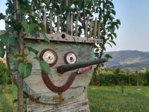 Azienda Agricola Varo