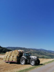 Azienda Agricola Zanni - Esterno