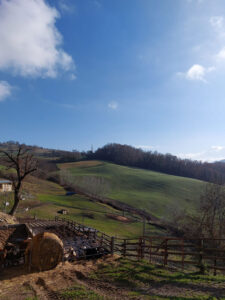 Azienda Agricola Zanni - Esterno