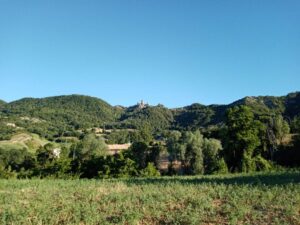 Azienda agricola Cilloni