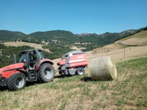 Azienda agricola Cilloni