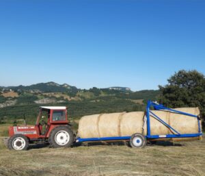 Azienda agricola Del Rio Jessica
