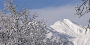 Agricamp Primosole | Il gigante bianco | Inverno