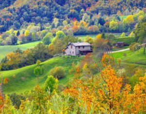 Agricamp Pimosole | Veduta