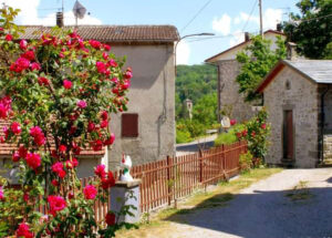 Agricamp Primosole | Scorcio di Case Pelati - Primavera