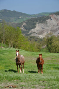 Rio delle Castagne - Whicky e Maggie