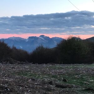 Azienda agricola Le Comunaglie - Apuane