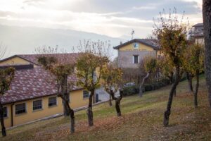 Fattoria Monte di Bebbio - Azienda