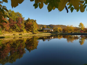 Rio delle Castagne - Panorama lago