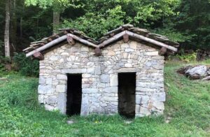Azienda agricola Le Comunaglie - Stanzini
